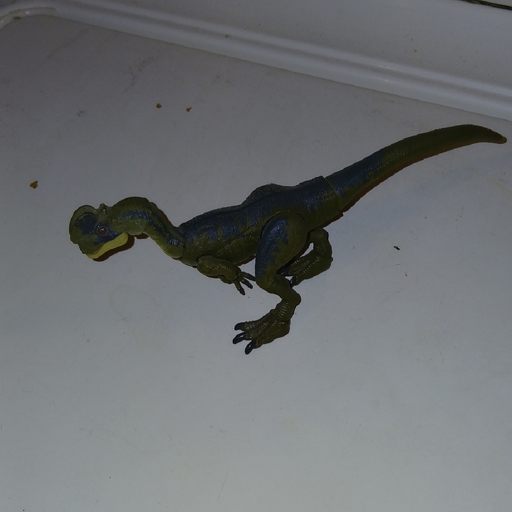 Green and Blue Reptile Toy